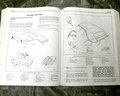 Next Page - 